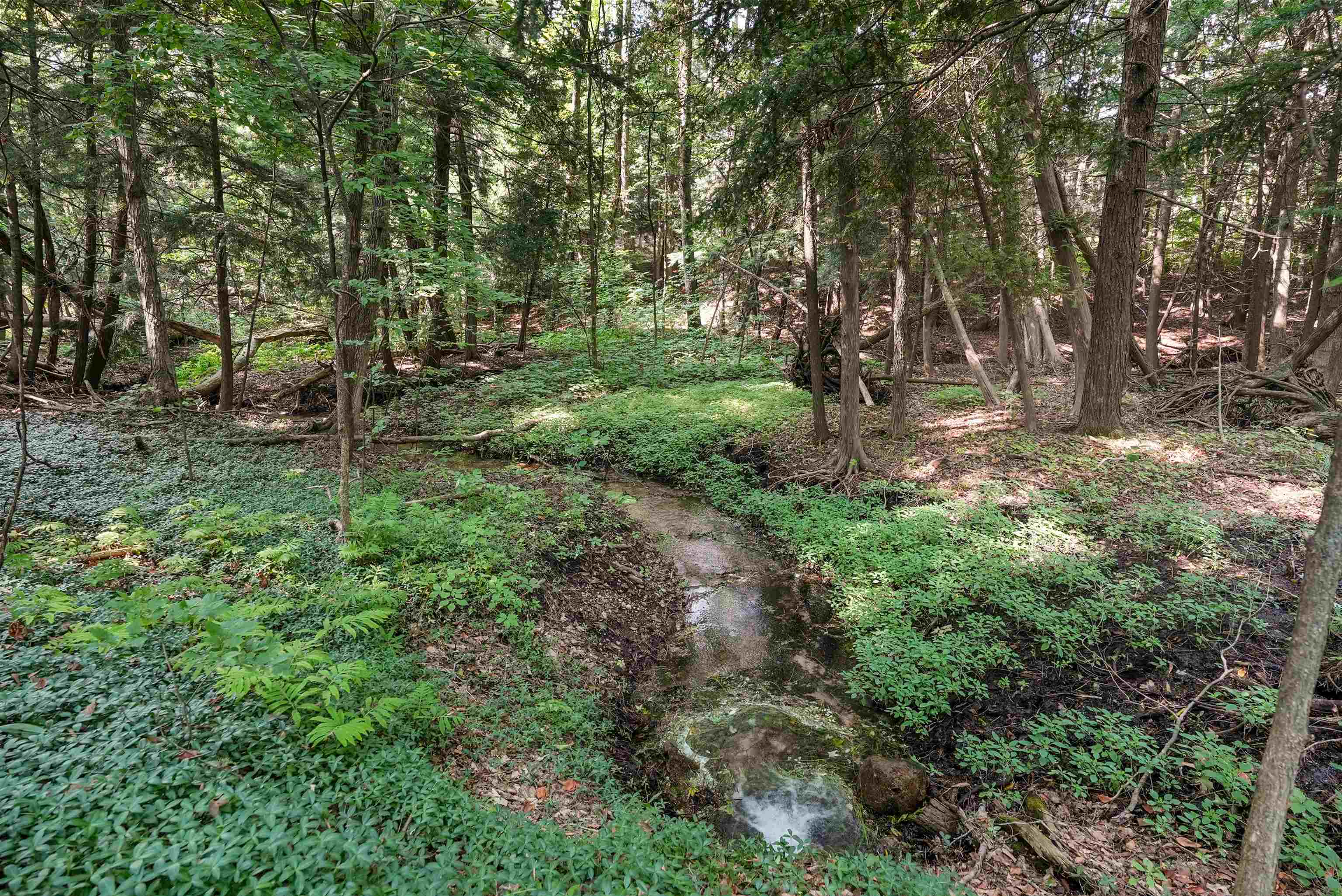 4613 North 35 Road Manton, MI 49663 - Photo 47 of 58