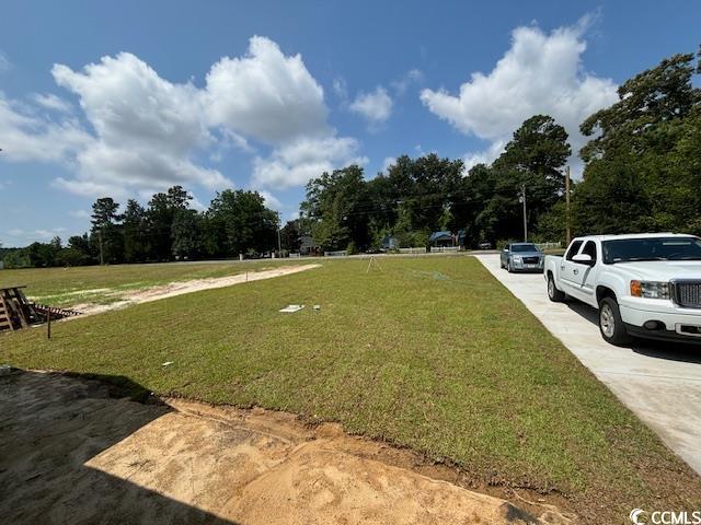 5844 Antioch Road Conway, SC 29527 - Photo 6 of 18 View of yard