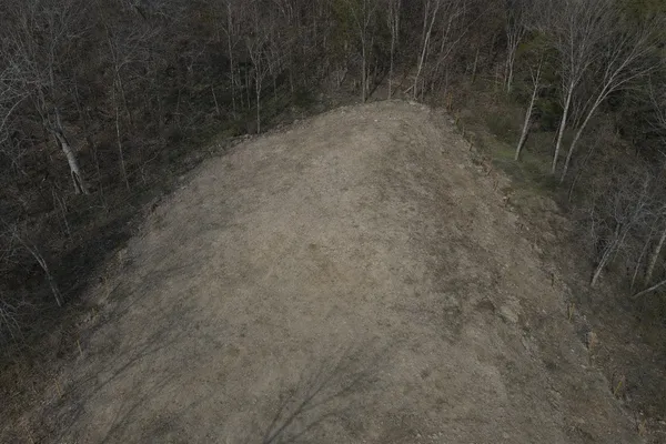 a view of a dry yard