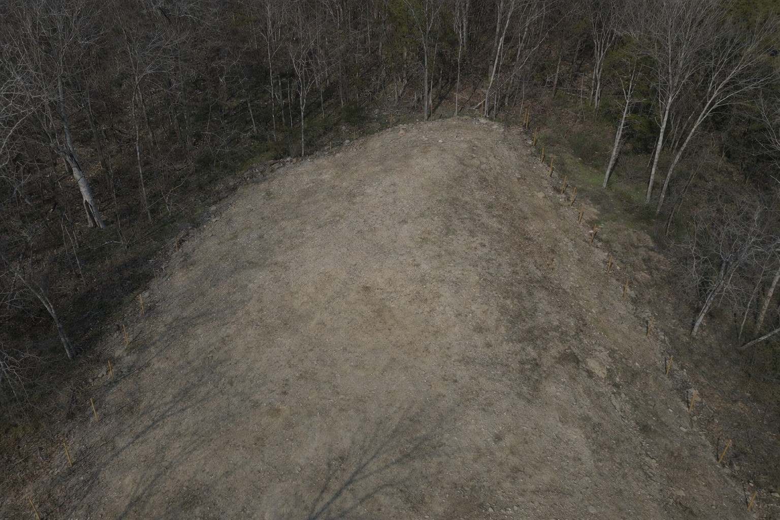918 Ward Road Madison, TN 37115 - Photo 2 of 4 a view of a dry yard