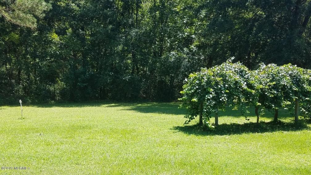 1341 Bass Road Nashville, NC 27856 - Photo 18 of 21 rear yard (2)