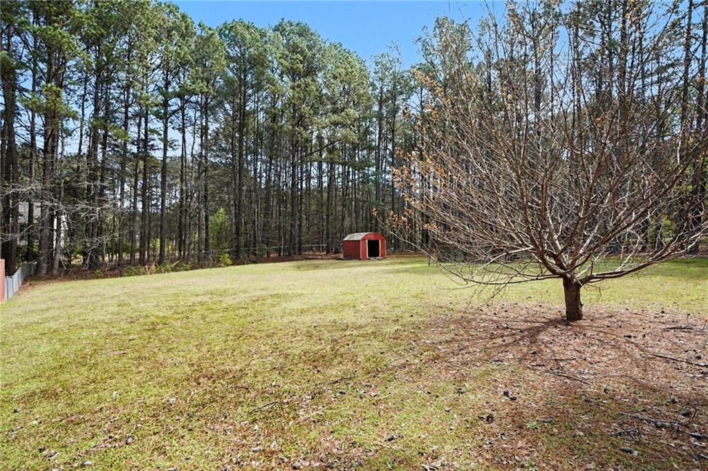 3351 Highway 3 Hampton, GA 30228 - Photo 32 of 34