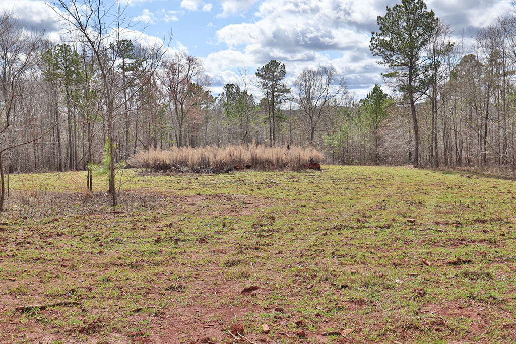 0 Irvin Road Shiloh, GA 31826 - Photo 15 of 46 Gallery Image 15