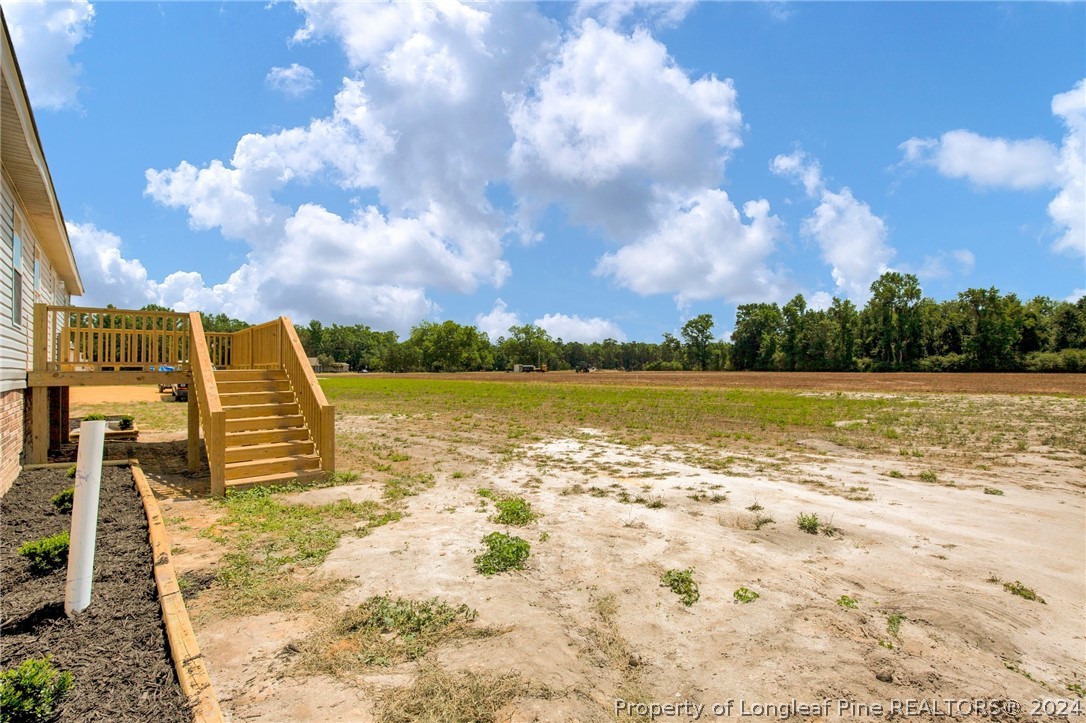 152 Three Bridges Road Rowland, NC 28383 - Photo 32 of 33