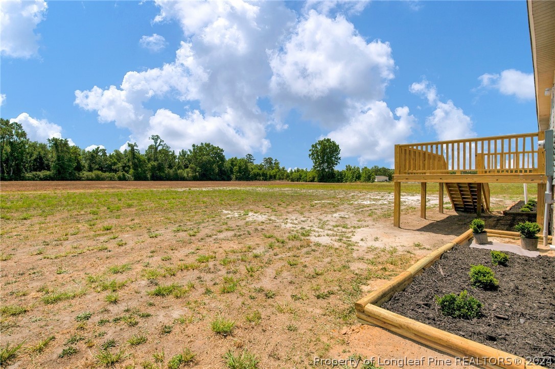 152 Three Bridges Road Rowland, NC 28383 - Photo 33 of 33