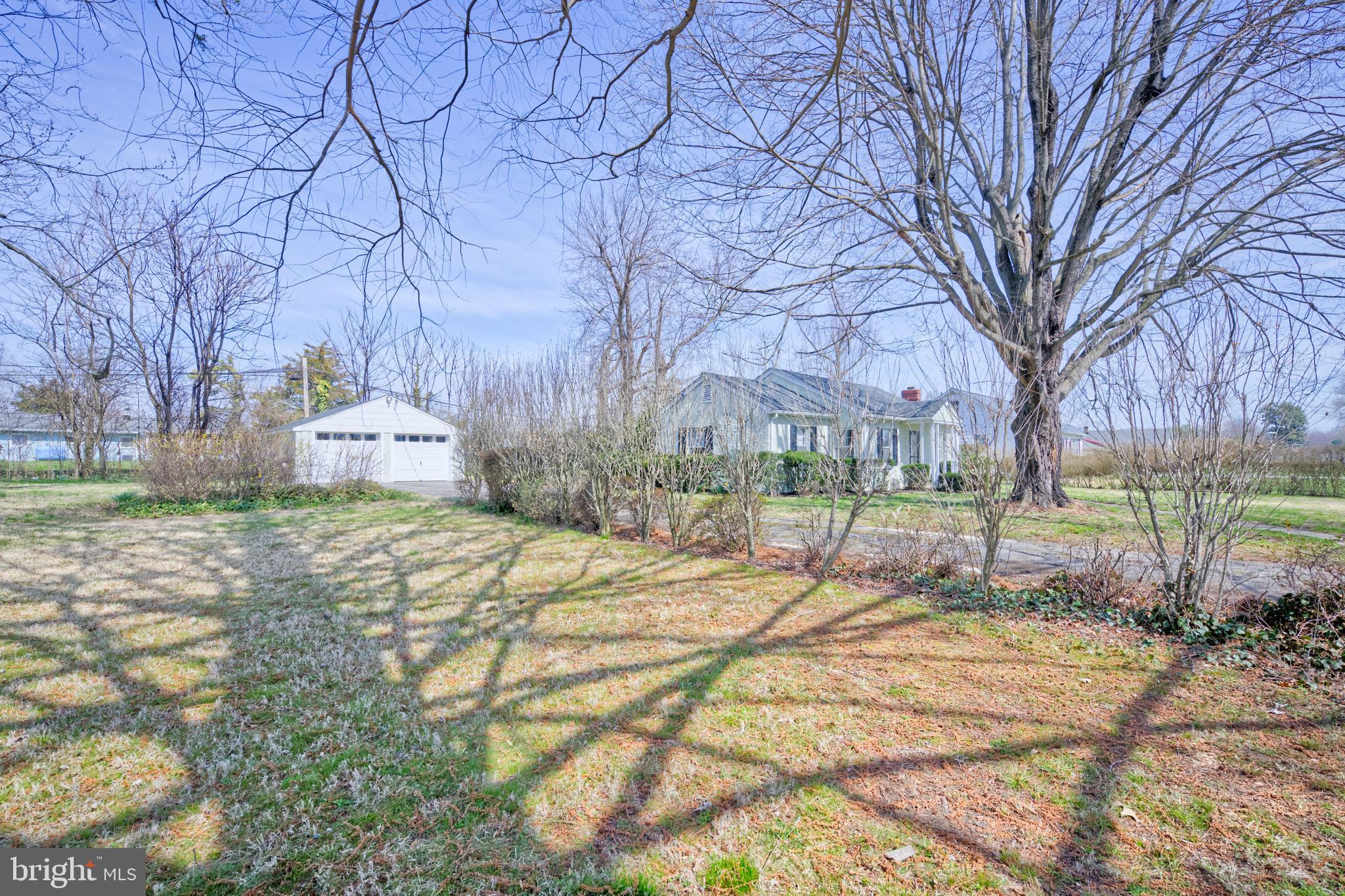 89 Cooper Road Dover, DE 19901 - Photo 30 of 32 a street view with large trees