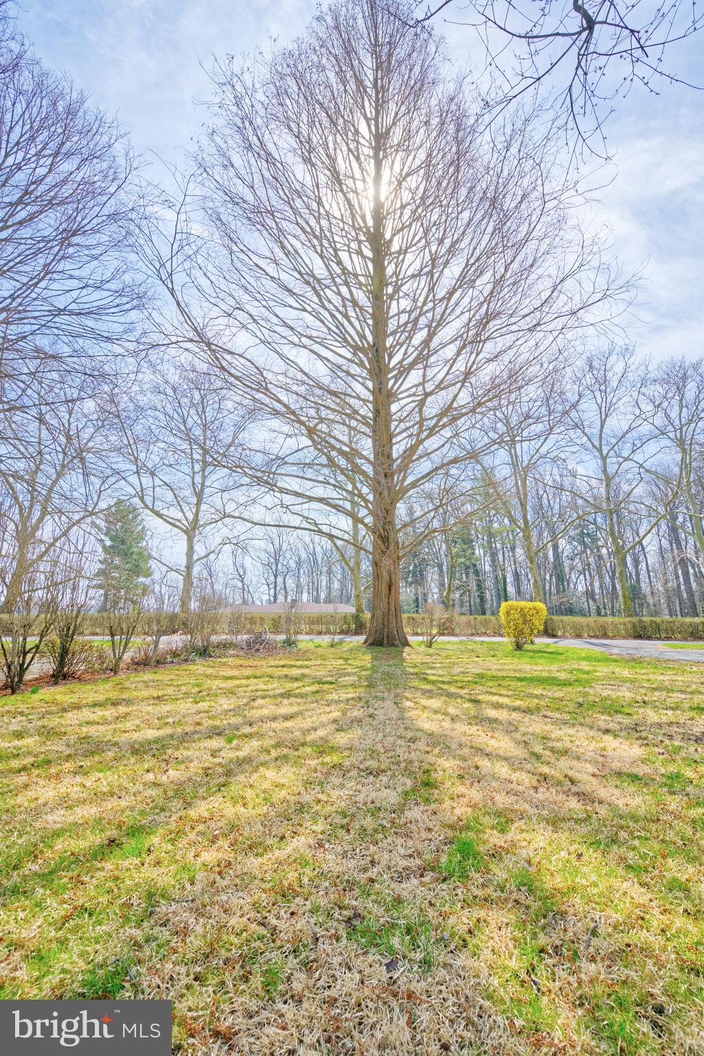 89 Cooper Road Dover, DE 19901 - Photo 31 of 32 a view of an ocean view