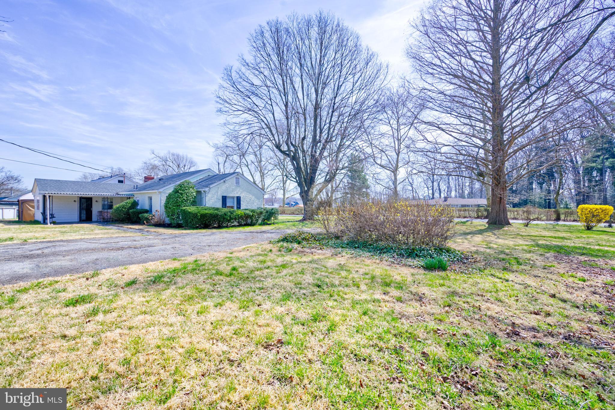 89 Cooper Road Dover, DE 19901 - Photo 8 of 32 a view of backyard with large trees