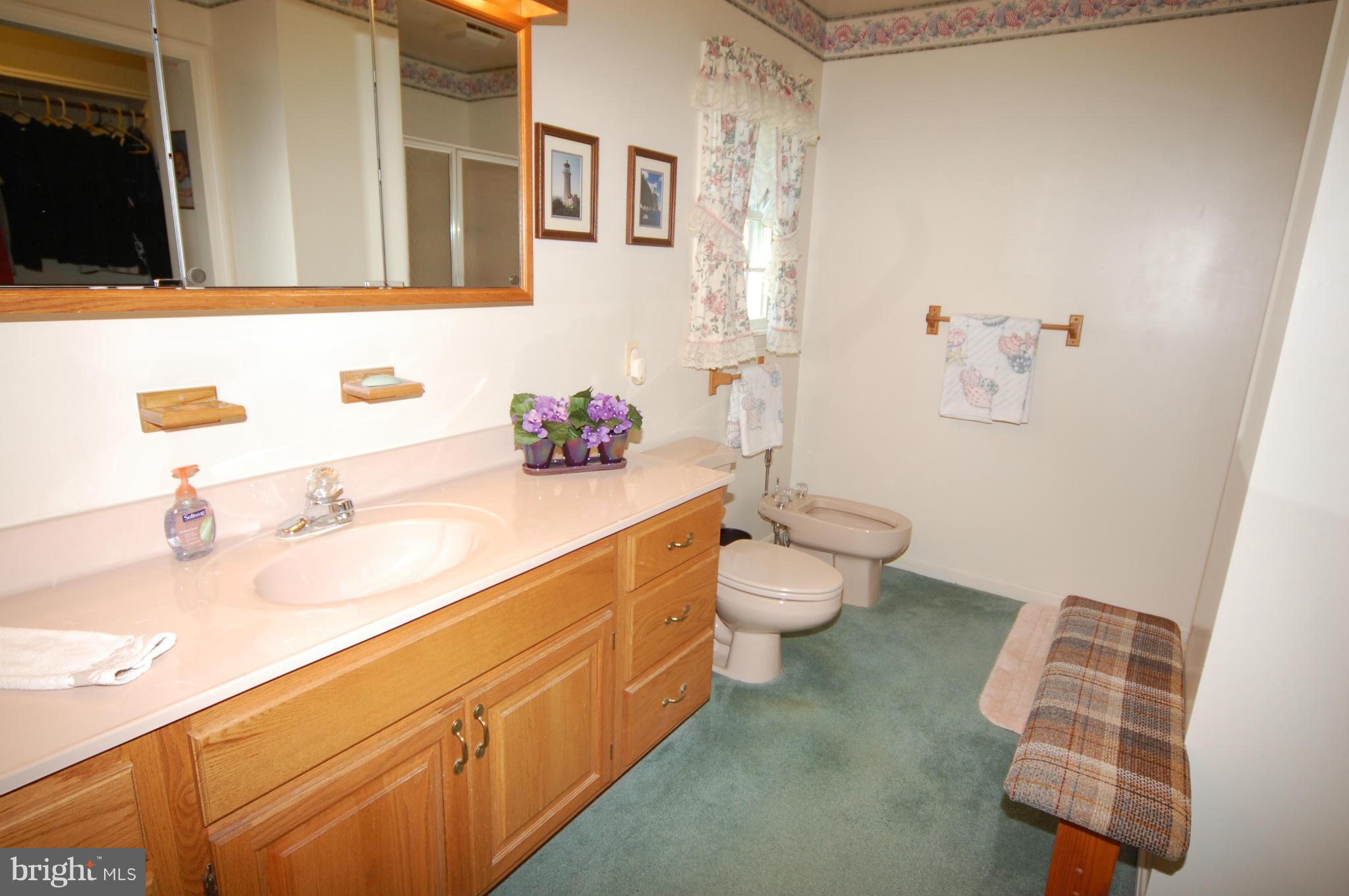 7841 Devilbiss Bridge Road Frederick, MD 21701 - Photo 12 of 21 Bath (Master)