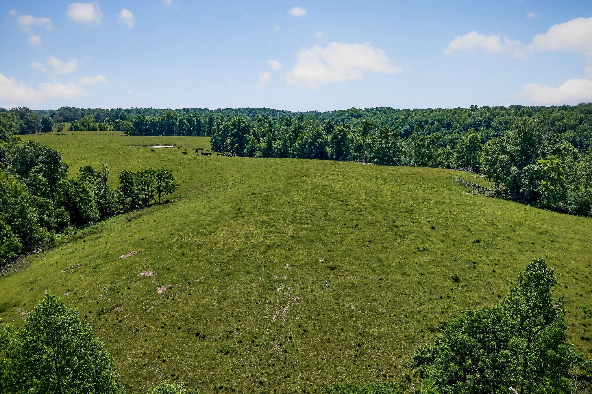8495 Baxter Road Baxter, TN 38544 - Photo 19 of 62