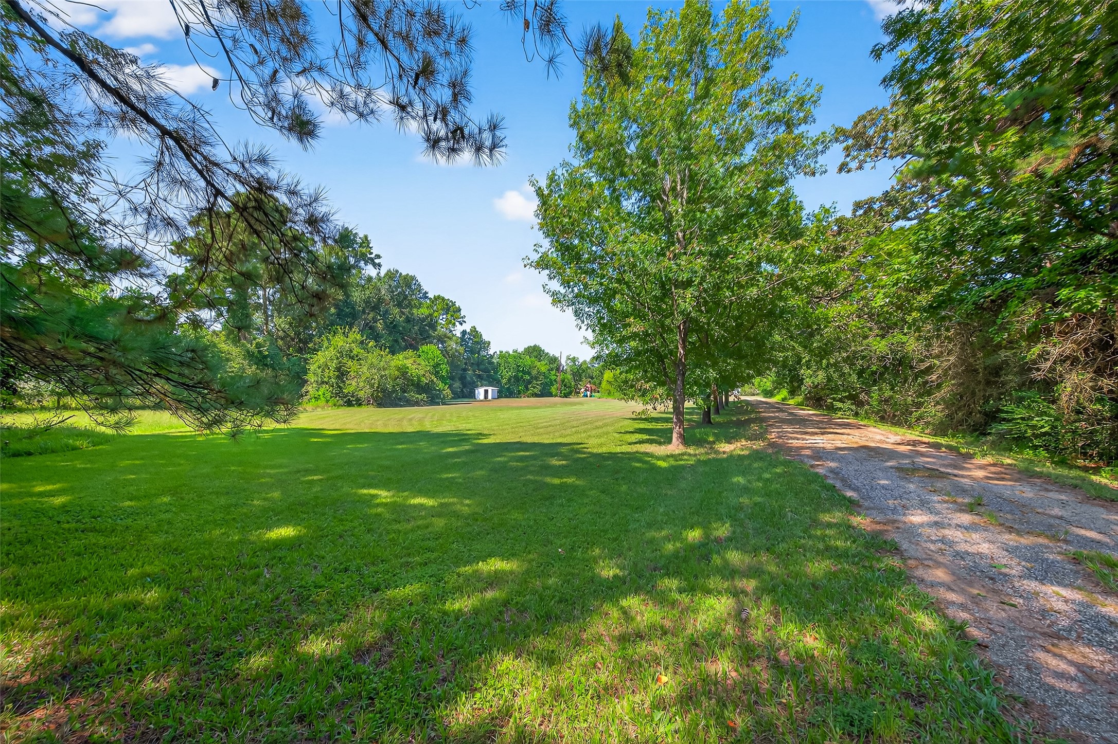 38011 Spur 149 Road Magnolia, TX 77354 - Photo 6 of 50 Expansive green lawn with a gravel driveway lined by trees, offering a serene and private setting. Ideal for those seeking a peaceful, natural environment.