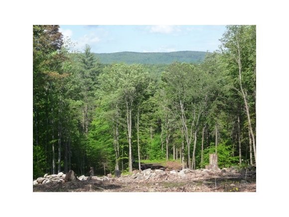 100 Landgrove Road Londonderry, VT 05148 - Photo 1 of 1