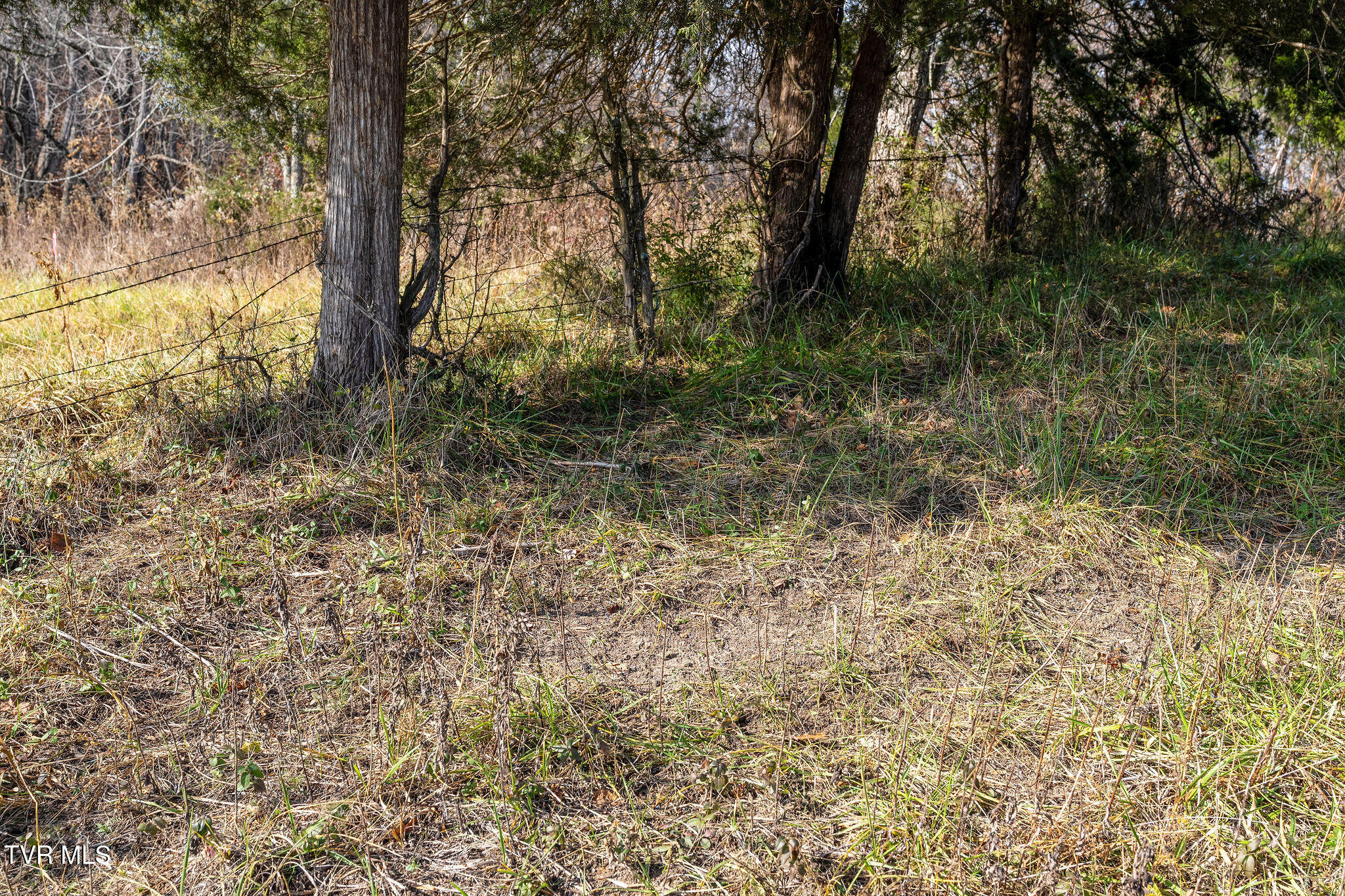 Tbd Skyline Road Jonesborough, TN 37659 - Photo 12 of 24 DSC00905