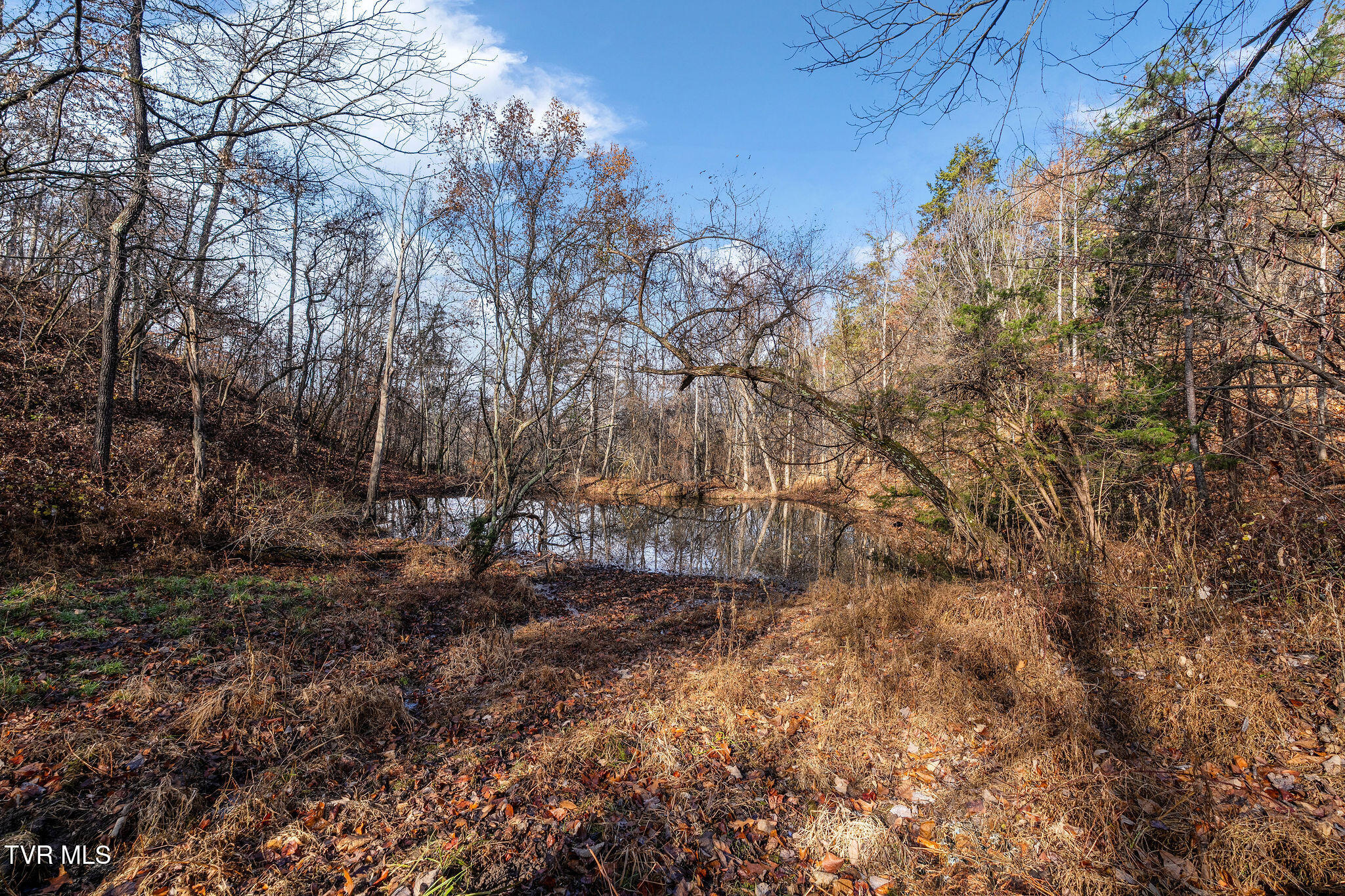 Tbd Skyline Road Jonesborough, TN 37659 - Photo 17 of 24 DSC00921