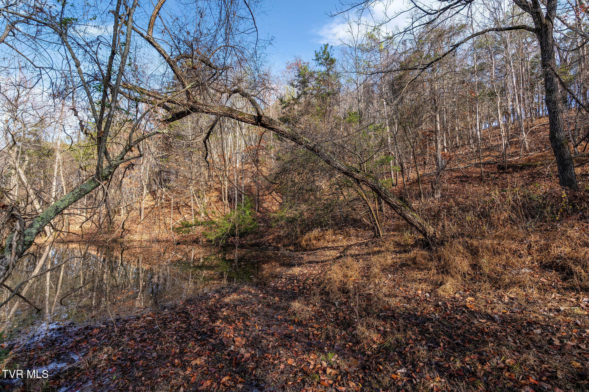 Tbd Skyline Road Jonesborough, TN 37659 - Photo 18 of 24 DSC00922