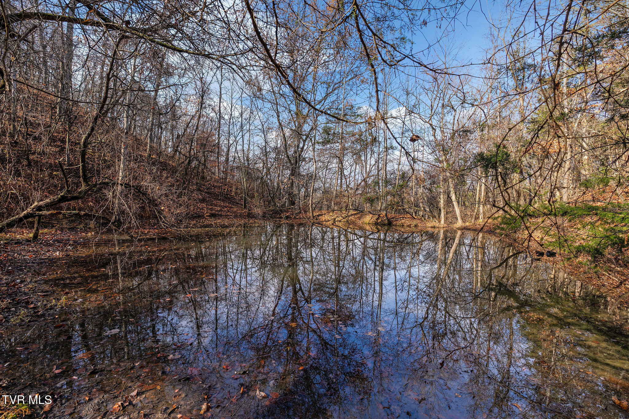Tbd Skyline Road Jonesborough, TN 37659 - Photo 19 of 24 DSC00923