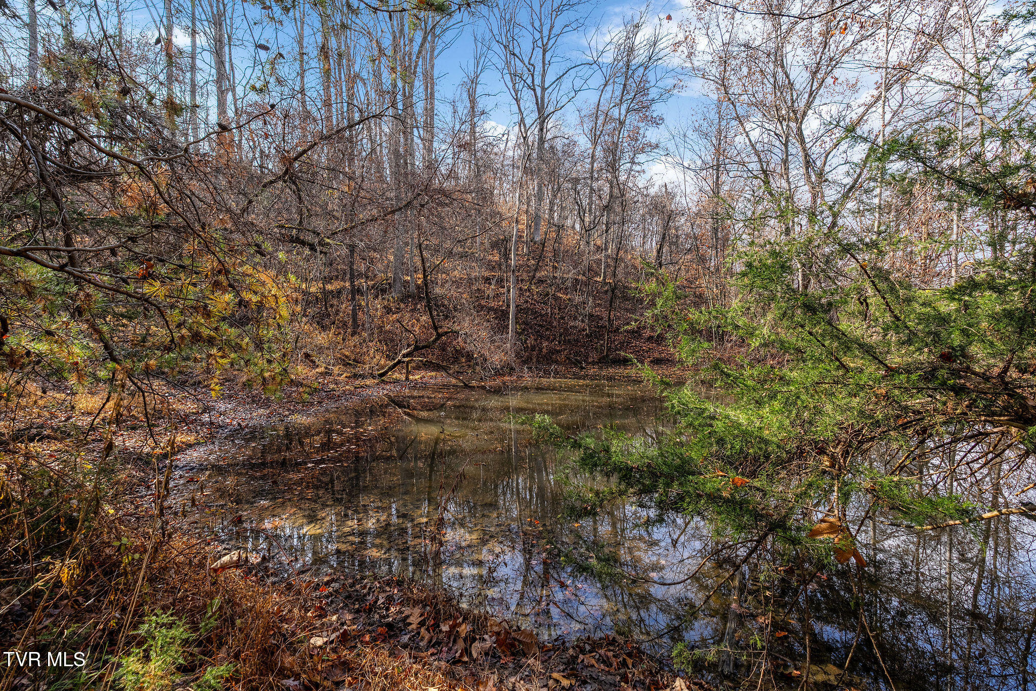 Tbd Skyline Road Jonesborough, TN 37659 - Photo 20 of 24 DSC00924