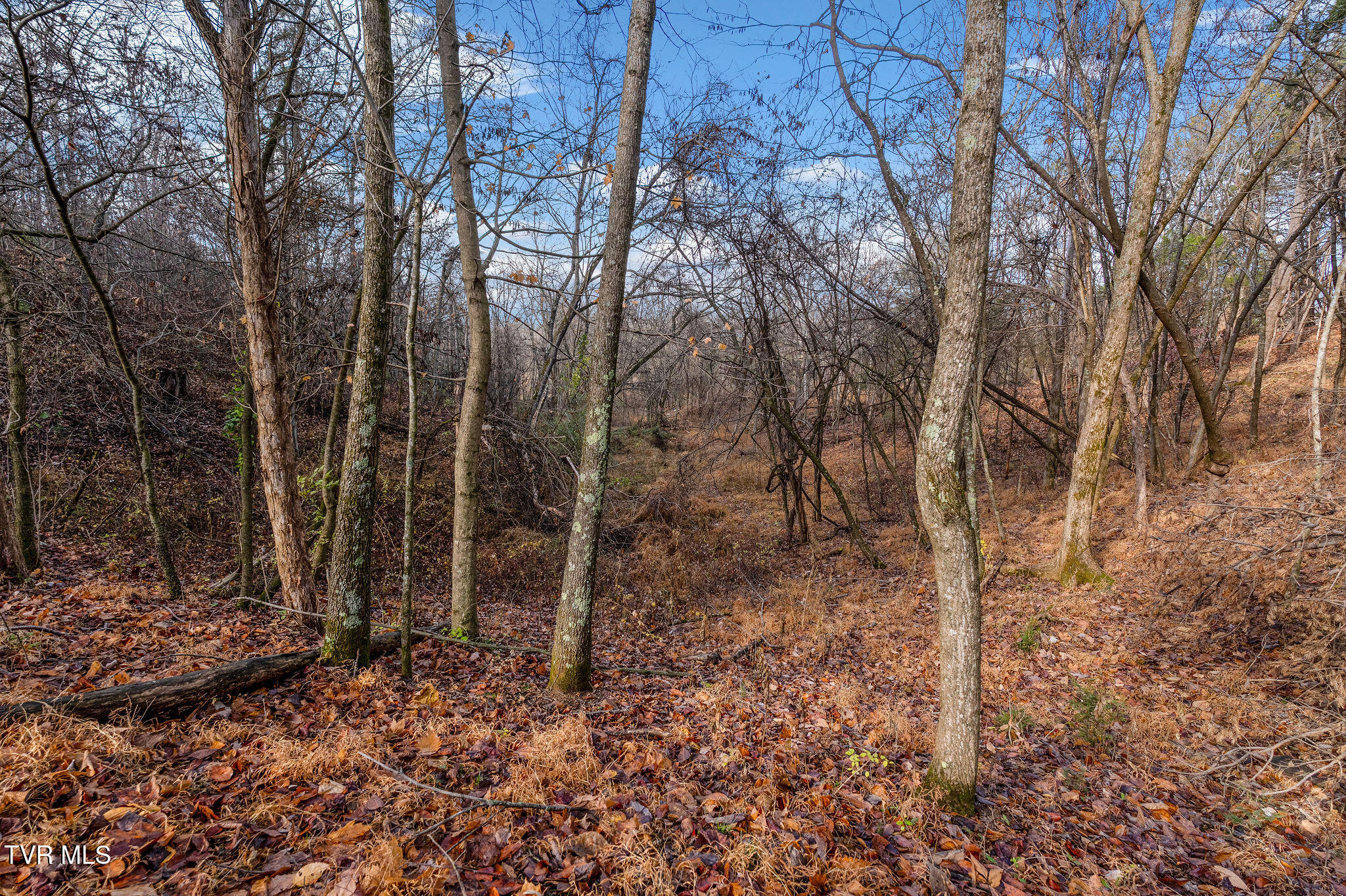 Tbd Skyline Road Jonesborough, TN 37659 - Photo 21 of 24 DSC00925