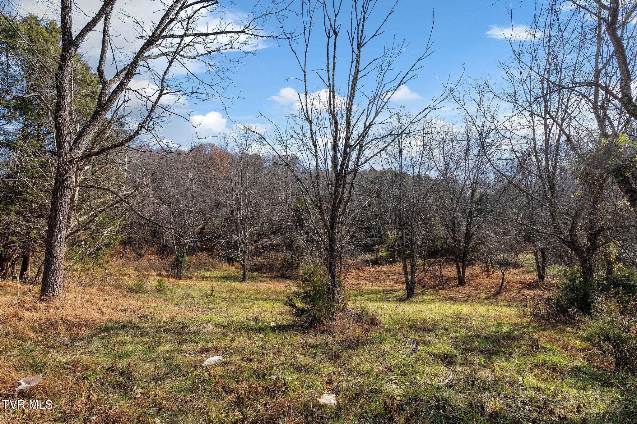 Tbd Skyline Road Jonesborough, TN 37659 - Photo 22 of 24 DSC00929