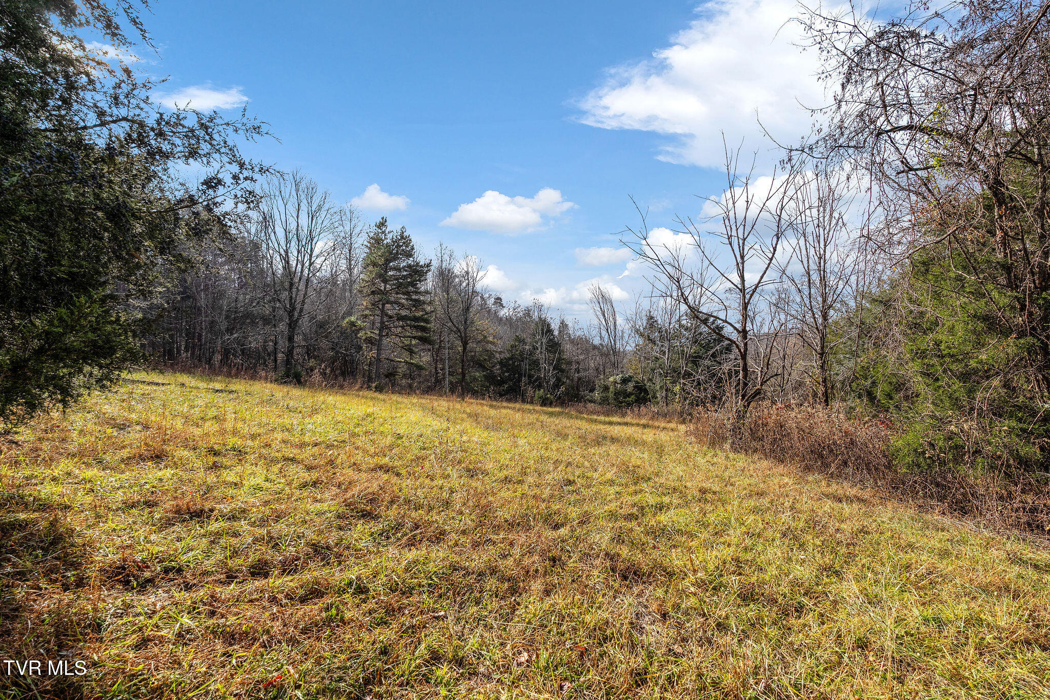 Tbd Skyline Road Jonesborough, TN 37659 - Photo 23 of 24 DSC00930