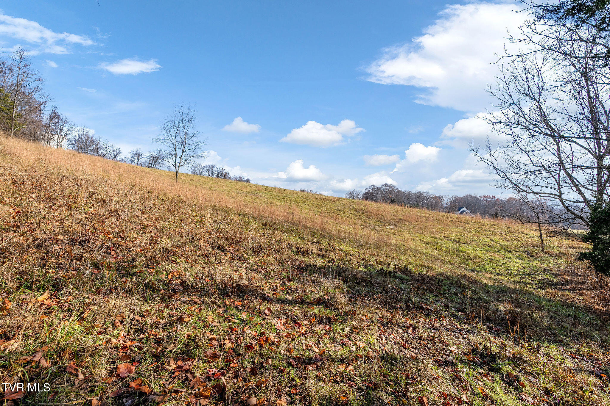 Tbd Skyline Road Jonesborough, TN 37659 - Photo 9 of 24 DSC00900