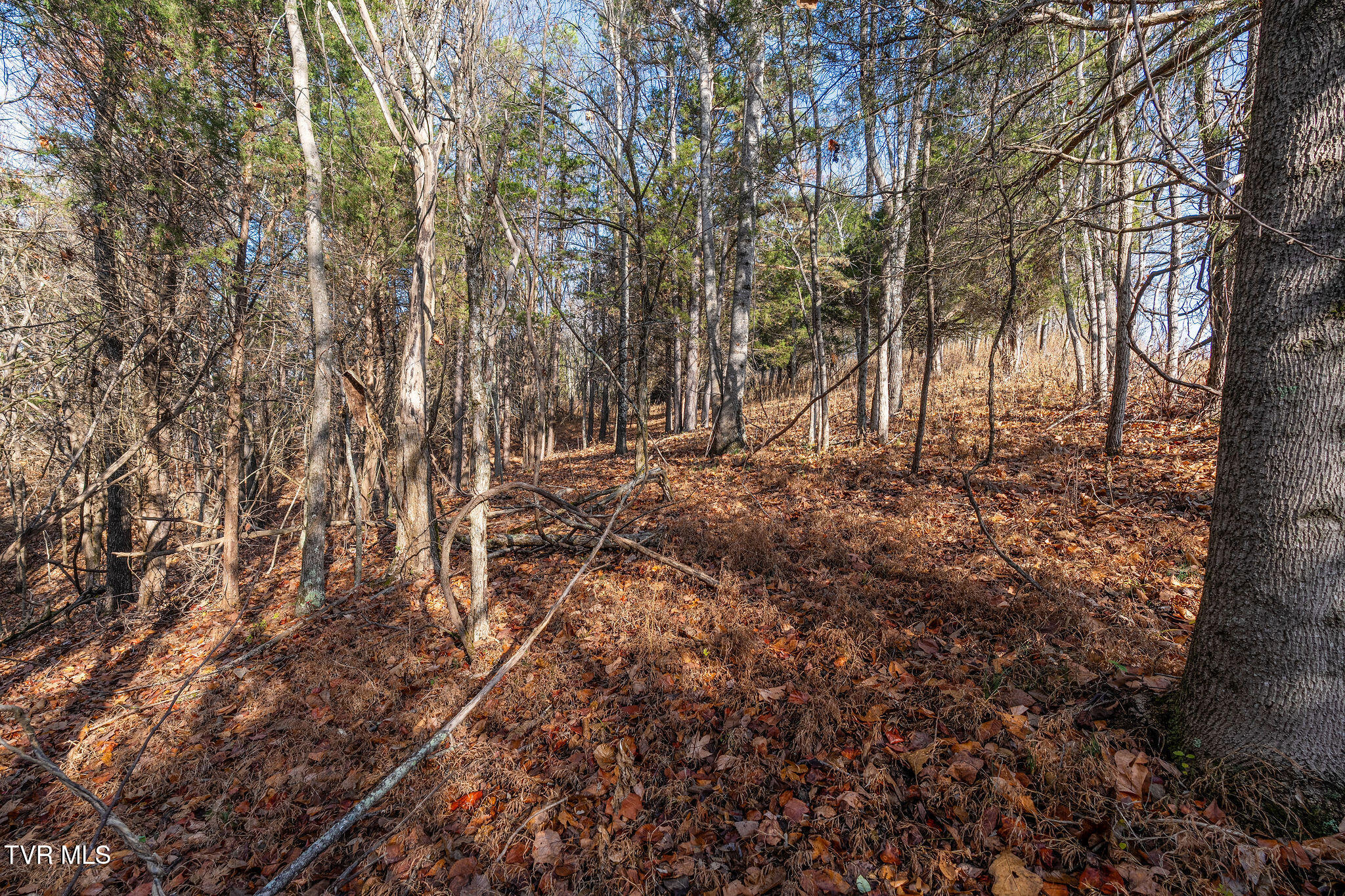 Tbd Skyline Road Jonesborough, TN 37659 - Photo 10 of 24 DSC00901