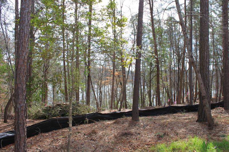 Lot 91 Peninsula Road, Unit LOT 91 Seneca, SC 29672 - Photo 1 of 25 Gallery Image 1