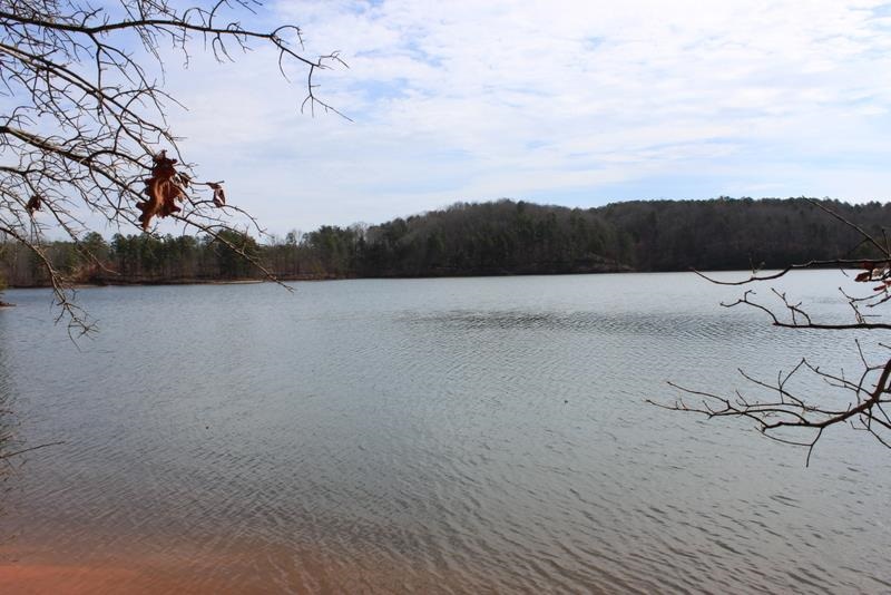 Lot 91 Peninsula Road, Unit LOT 91 Seneca, SC 29672 - Photo 14 of 25 Gallery Image 14
