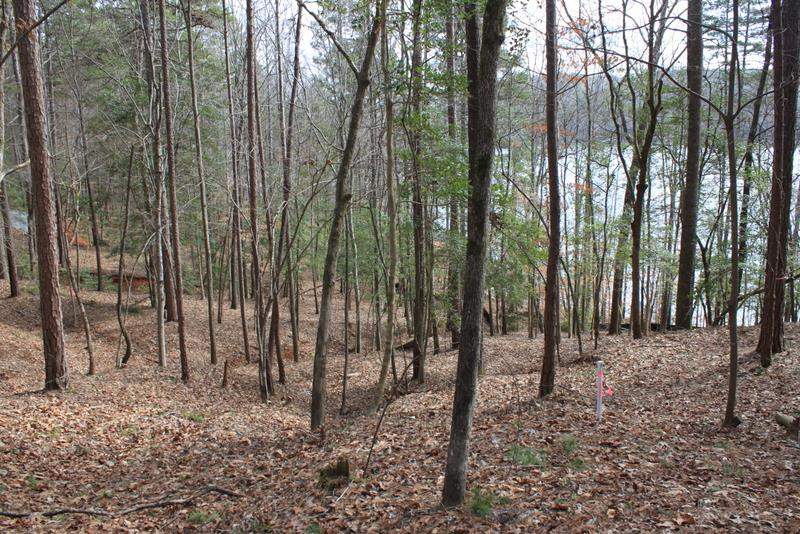 Lot 91 Peninsula Road, Unit LOT 91 Seneca, SC 29672 - Photo 3 of 25 Gallery Image 3