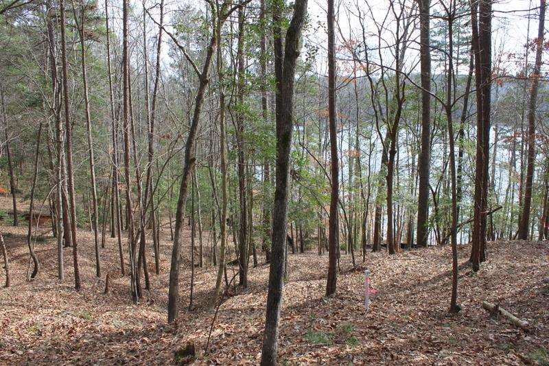 Lot 91 Peninsula Road, Unit LOT 91 Seneca, SC 29672 - Photo 4 of 25 Gallery Image 4