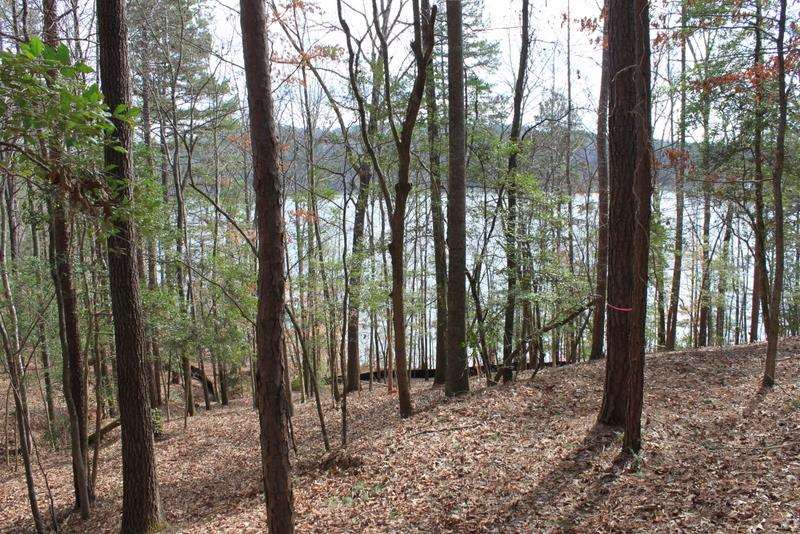 Lot 91 Peninsula Road, Unit LOT 91 Seneca, SC 29672 - Photo 5 of 25 Gallery Image 5