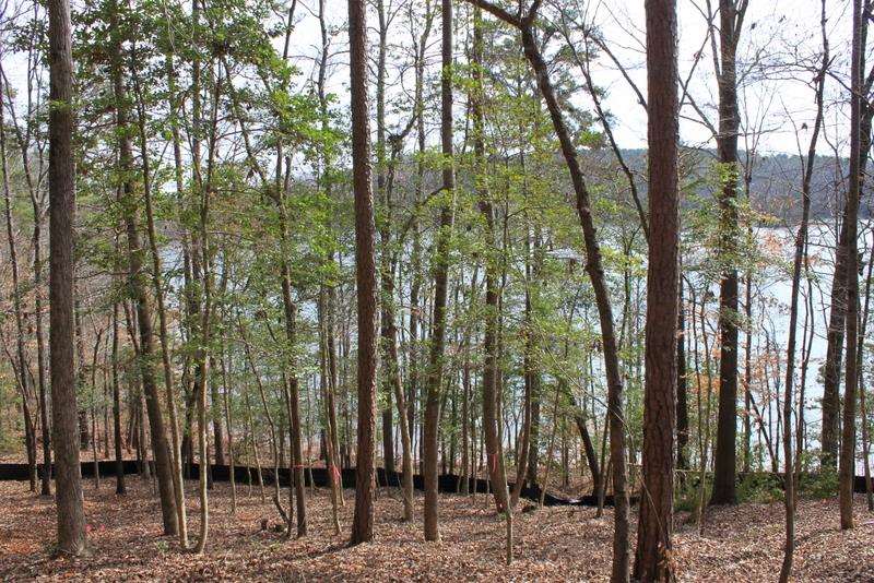 Lot 91 Peninsula Road, Unit LOT 91 Seneca, SC 29672 - Photo 8 of 25 Gallery Image 8