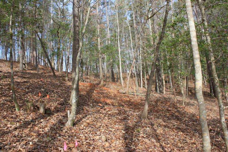Lot 91 Peninsula Road, Unit LOT 91 Seneca, SC 29672 - Photo 9 of 25 Gallery Image 9