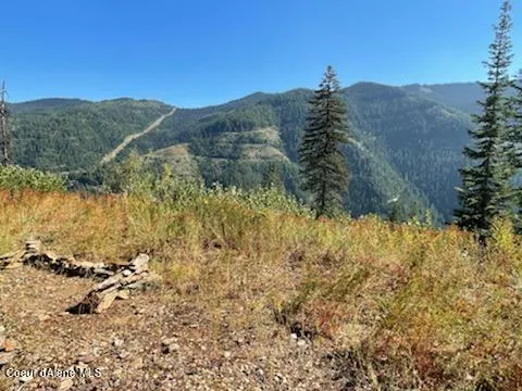 $132,800 | 34.38 Acres Road, Wallace, ID 83873