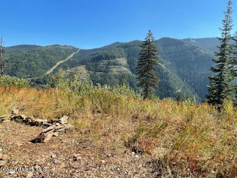 34.38 Acres Road Wallace, ID 83873 - Photo 16 of 37 IMG_0905