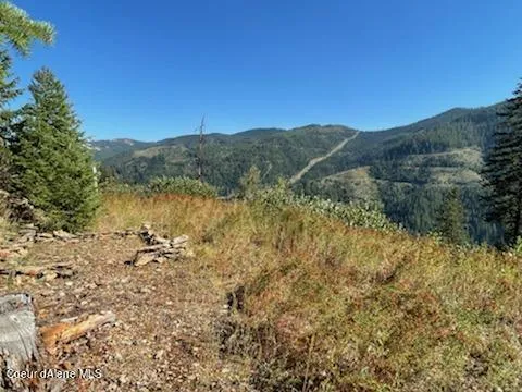 $132,800 | 34.38 Acres Road, Wallace, ID 83873