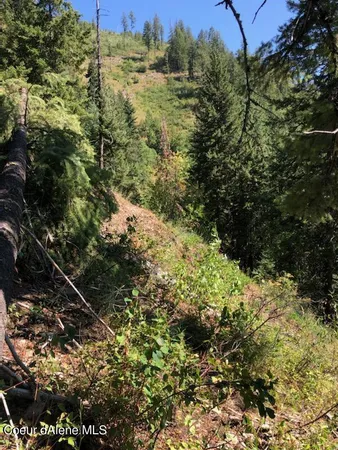 $132,800 | 34.38 Acres Road, Wallace, ID 83873