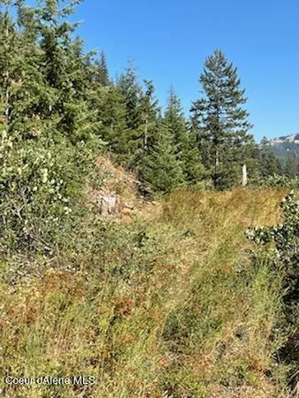 $132,800 | 34.38 Acres Road, Wallace, ID 83873