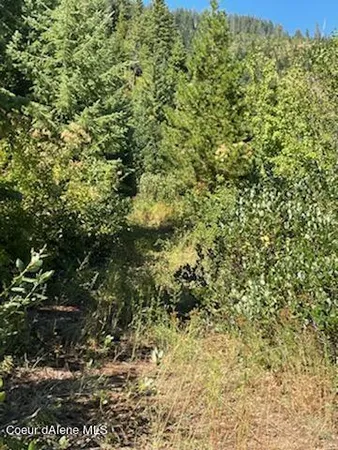 $132,800 | 34.38 Acres Road, Wallace, ID 83873