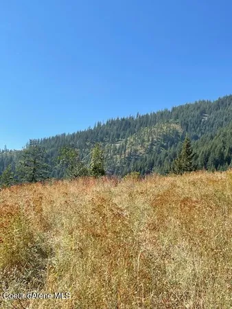 $132,800 | 34.38 Acres Road, Wallace, ID 83873