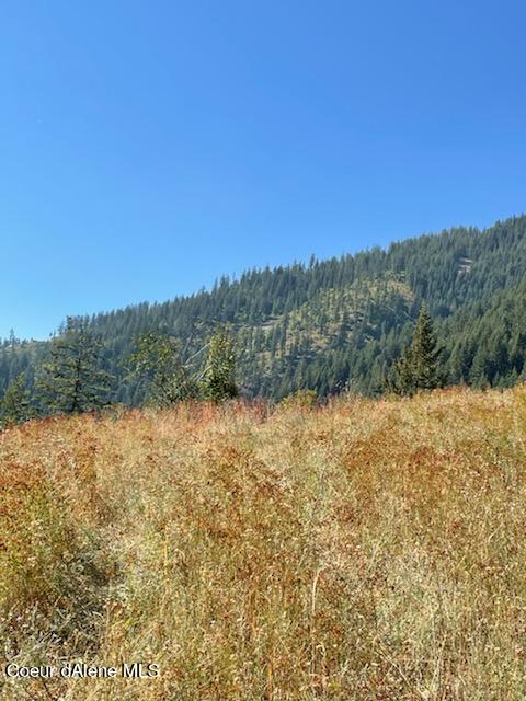 34.38 Acres Road Wallace, ID 83873 - Photo 30 of 37 IMG_0921