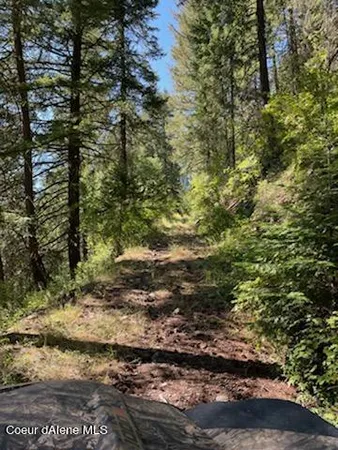 $132,800 | 34.38 Acres Road, Wallace, ID 83873