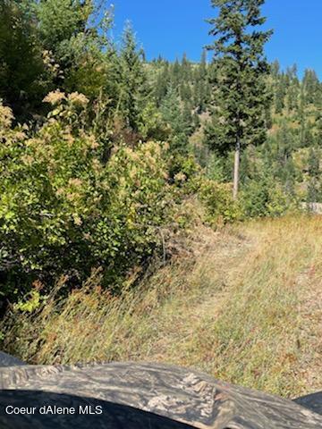 34.38 Acres Road Wallace, ID 83873 - Photo 34 of 37 IMG_0926