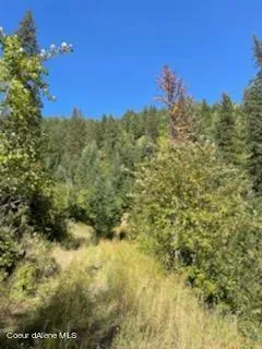 $132,800 | 34.38 Acres Road, Wallace, ID 83873