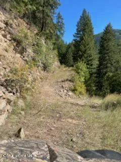 $132,800 | 34.38 Acres Road, Wallace, ID 83873