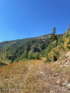 34.38 Acres Road Wallace, ID 83873 - Photo 7 of 37 IMG_0893