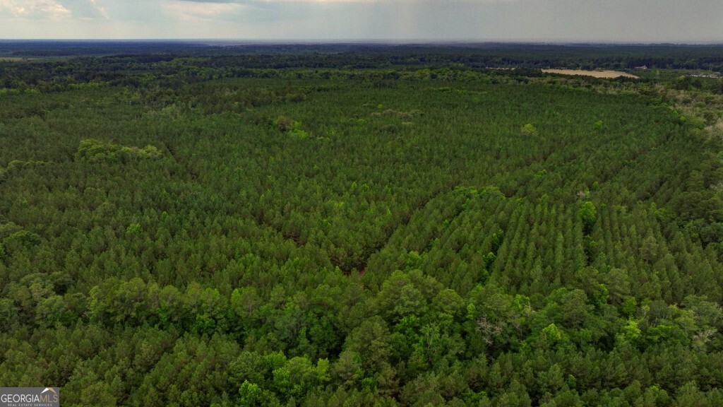 0 Highway 204 & Carlos Cowart Road Pembroke, GA 31321 - Photo 24 of 47