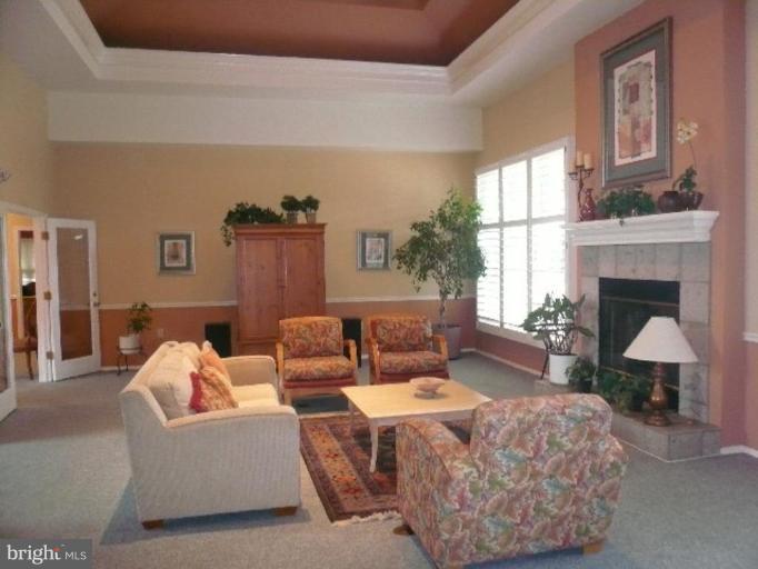 20958 Timber Ridge Terrace, Unit 102 Ashburn, VA 20147 - Photo 10 of 13 Community Amenities 1