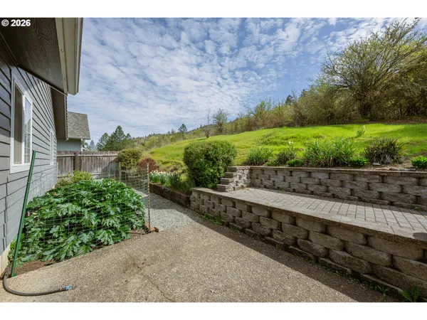a view of a backyard