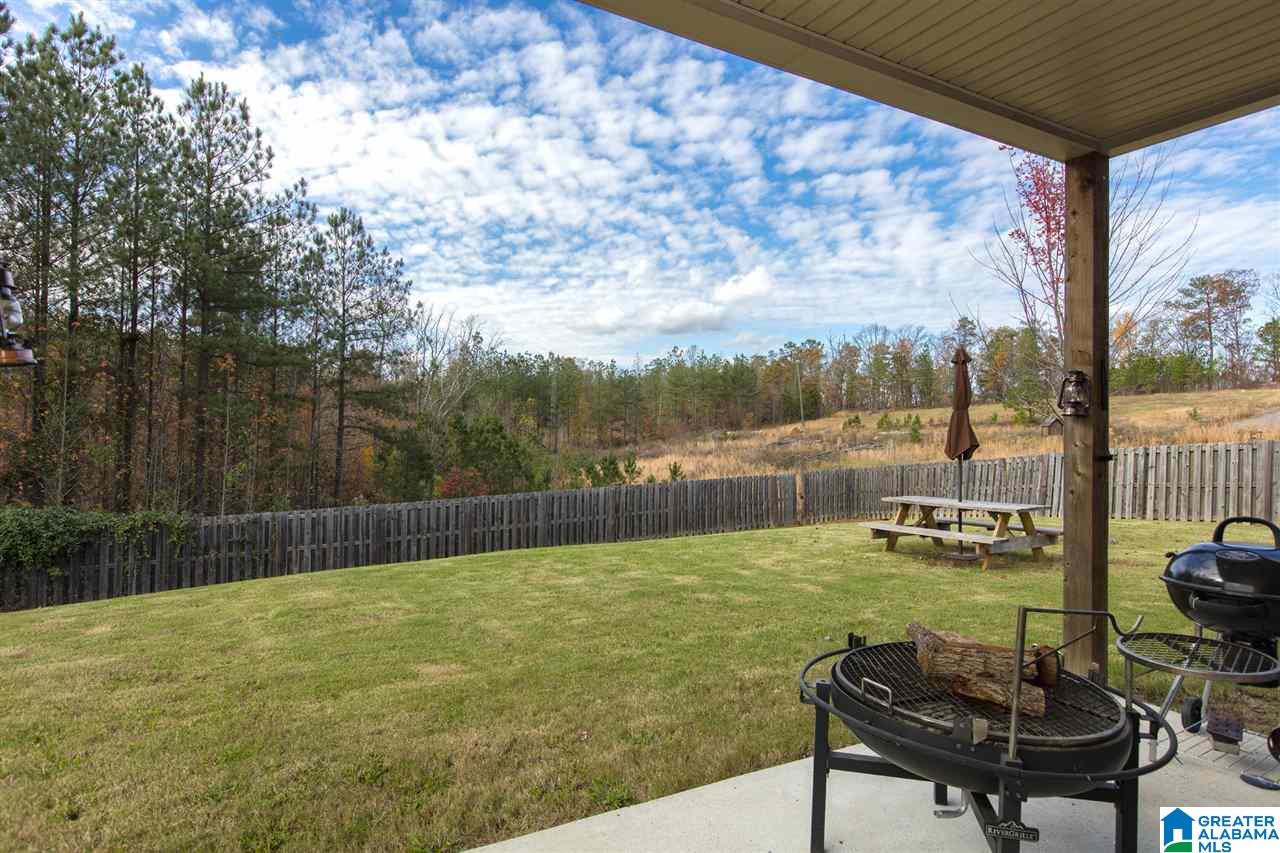 597 Village Springs Lane Springville, AL 35146 - Photo 26 of 32